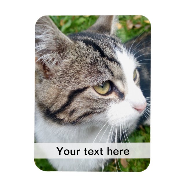 Ímã Imagem personalizada | Carregue sua imagem aqui (Vertical)