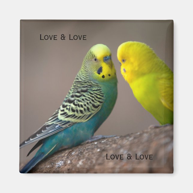 Imã Imagem personalizada de dois papagaios com texto Í (Frente)
