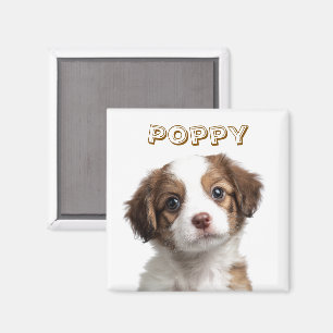 Imã Imagem Personalizada de Fotografia de Cachorro - N