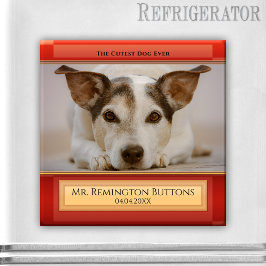 Imã Imagem Personalizada de Fotografia Personalizada p