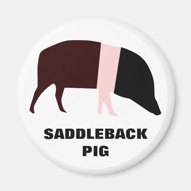 Imã Imagem Personalizável do Porco Saddleback (Frente)