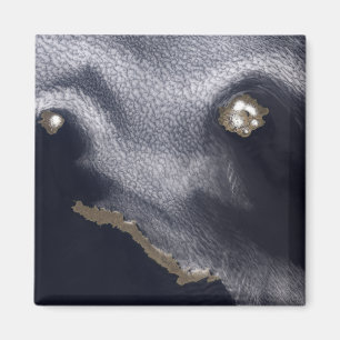 Imã Imagem por satélite da ilha Semisopochnoi