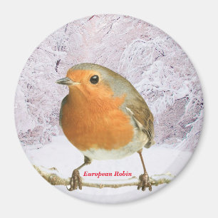 Imã Imagem Robin para o Magnet Redondo Grande