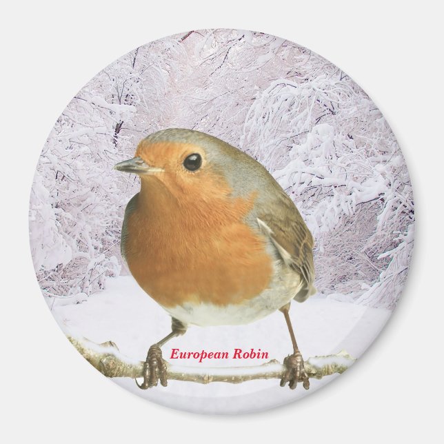 Imã Imagem Robin para o Magnet Redondo Grande (Frente)