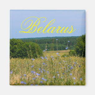 Imã Imagem Rural do Campo Natural da Bielorrússia