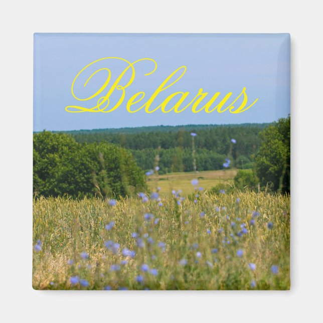 Imã Imagem Rural do Campo Natural da Bielorrússia (Frente)