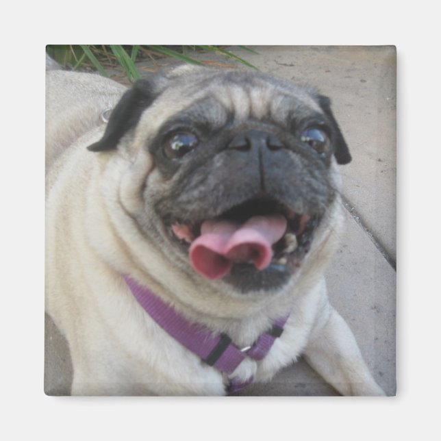 Imã Imagens de Fotografias Personalizadas (Frente)