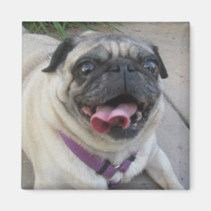 Imã Imagens de Fotos Personalizadas