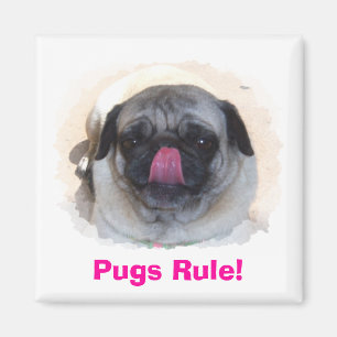 Imã Imagens de Fotos Personalizadas Personalizadas