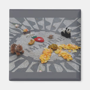 Imã Imagine a foto do Central Park NYC de Strawberry