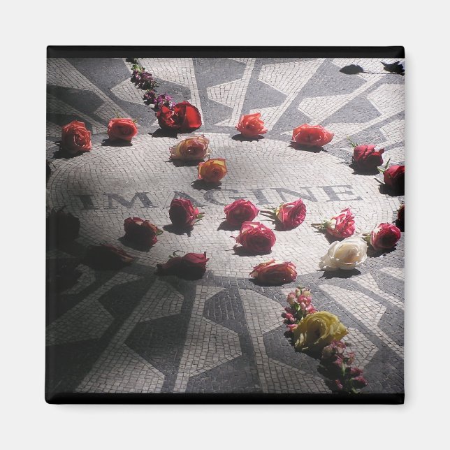 Imã Imagine o Parque Central do Mosaico (Frente)