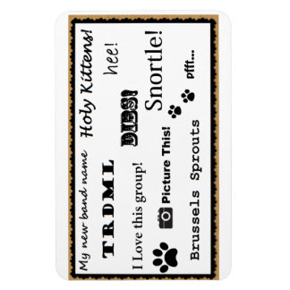 Ímã Imaginem isto!