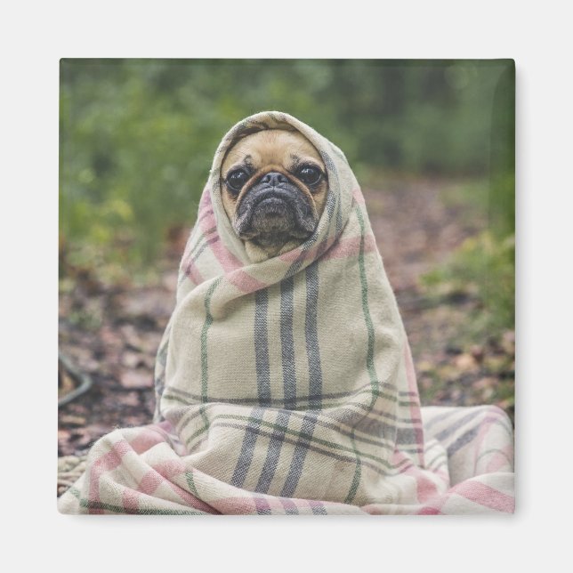 Imã Íman 2 Cachorro Cortado (Frente)