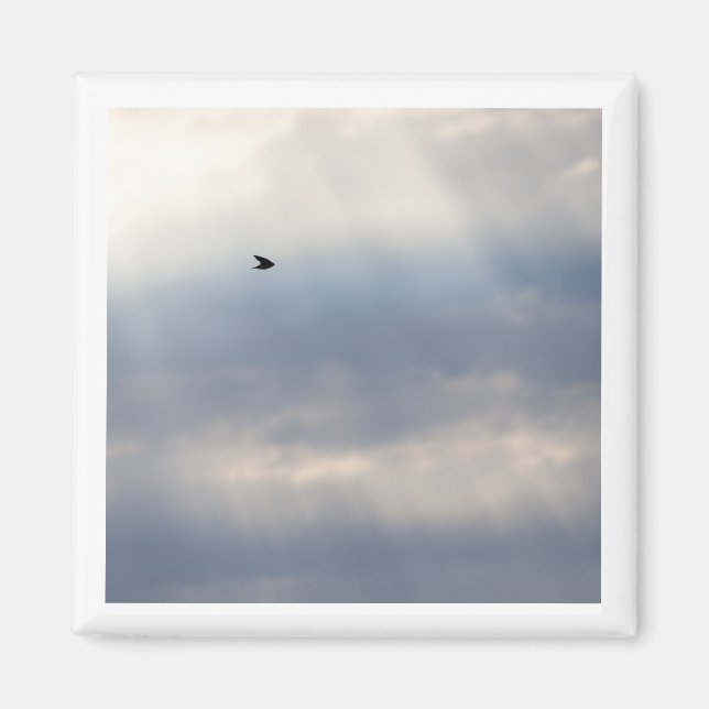 Imã Íman 2x2 de Swallow em árvore (Frente)