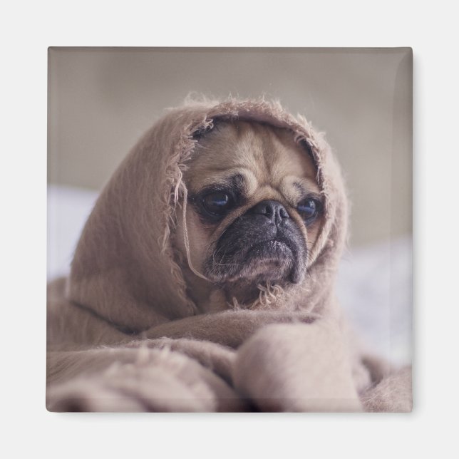 Imã Íman 3 Cachorro Cortado (Frente)