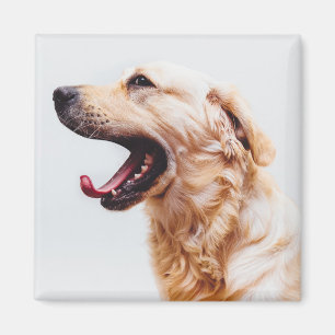 Imã Íman 6 Cachorro Cortado