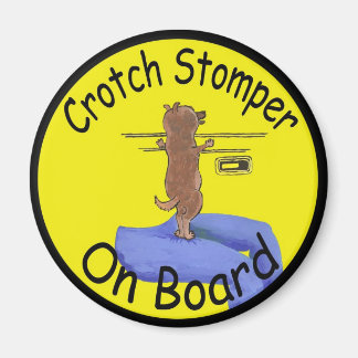 Imã íman amante cão