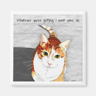 Imã íman: Ameaças para o Hobbes