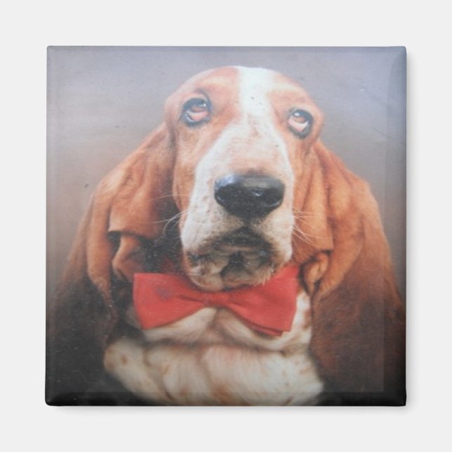 Imã Íman Basset Hound Gravata Borboleta Vermelha (Frente)