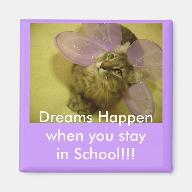 Imã íman bloqueador (Frente)