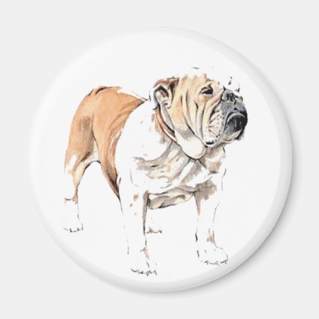 Imã Íman Bulldog (Frente)