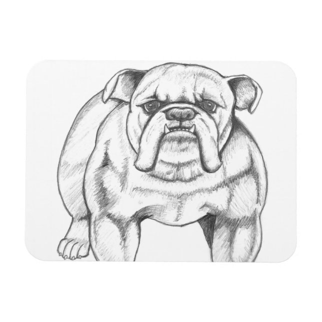 Ímã Íman Bulldog (Horizontal)
