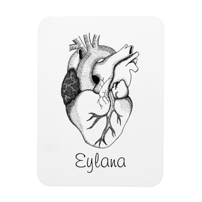 Ímã íman cardíaco (Vertical)