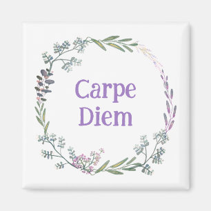 Imã Íman carpe diem