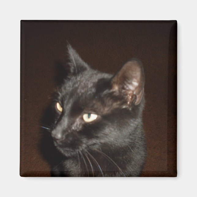 Imã Íman CAT PRETO (Frente)