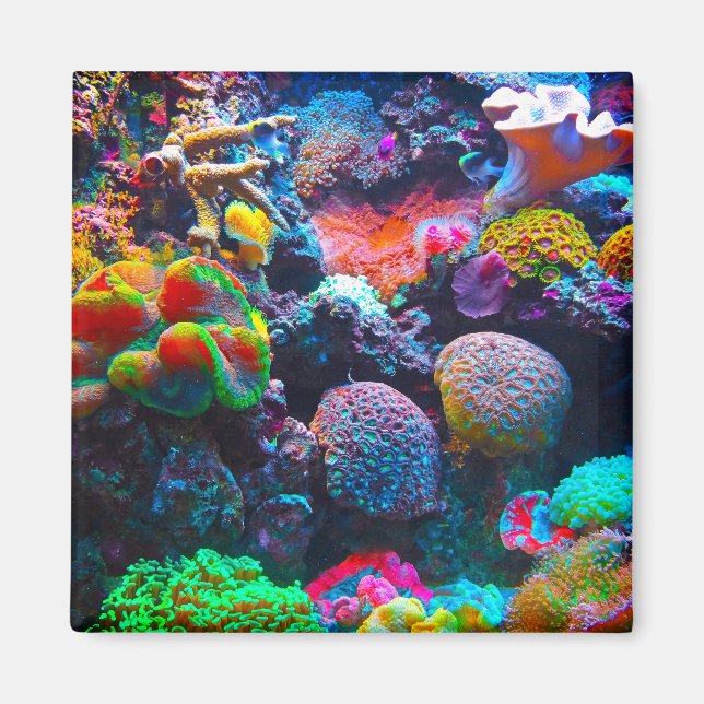 Imã Íman colorido do oceano (Frente)