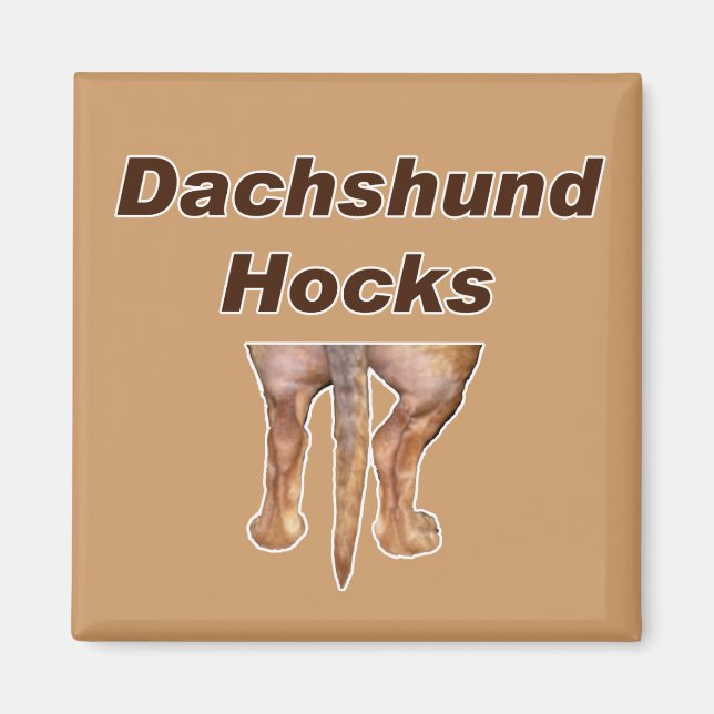 Imã Íman Dachshund Hocks (Frente)
