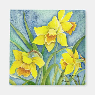 Imã Íman DAFFODILS