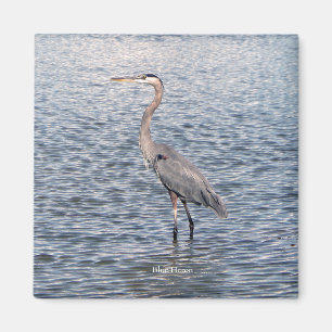Imã Íman de água Heron Azul