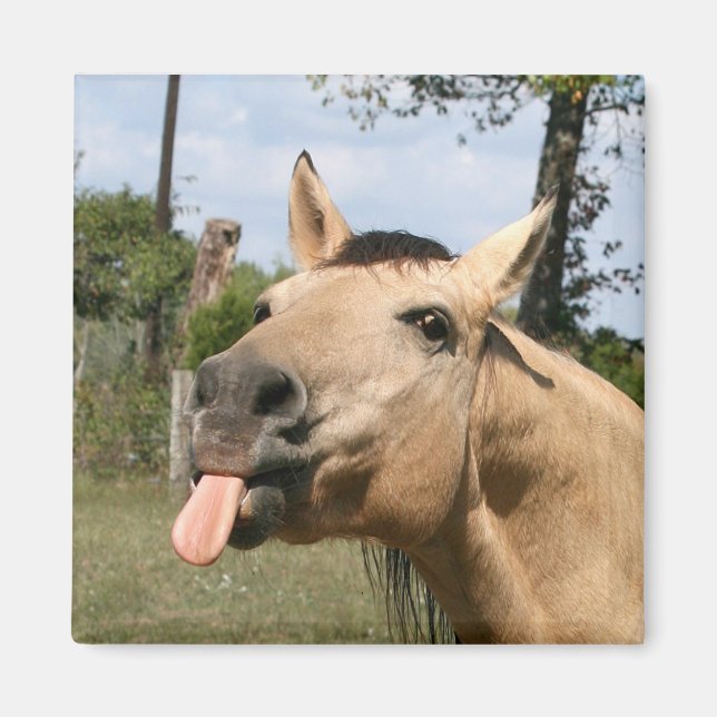 Imã íman de amora (Frente)