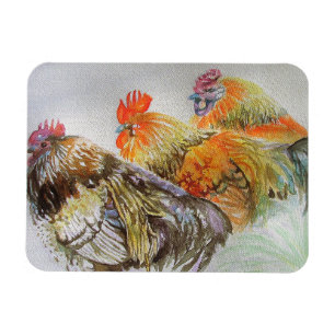 Ímã Íman de Arte em Aquarela de Galo Frango Galinha