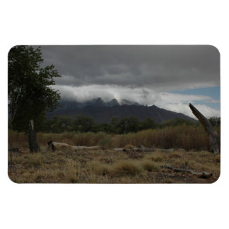 Ímã Íman de Artes H.A.S., imagem Bosque