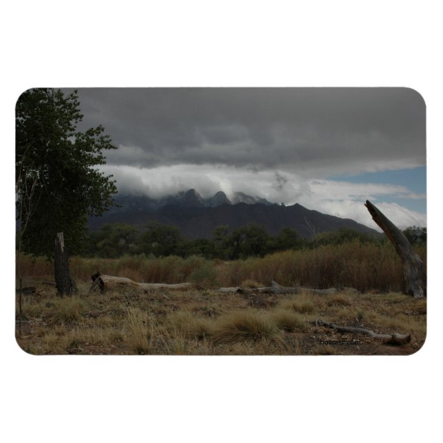 Ímã Íman de Artes H.A.S., imagem Bosque (Horizontal)