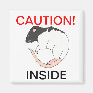 Imã Íman de aviso em roedor