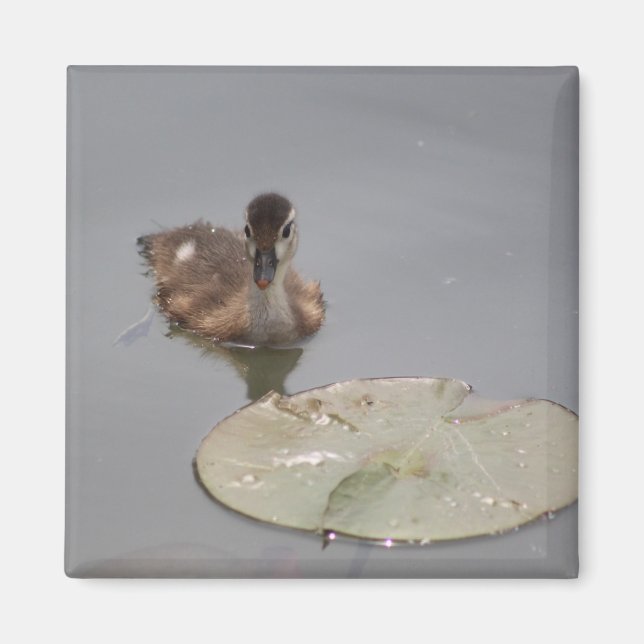 Imã Íman de bolso (Frente)