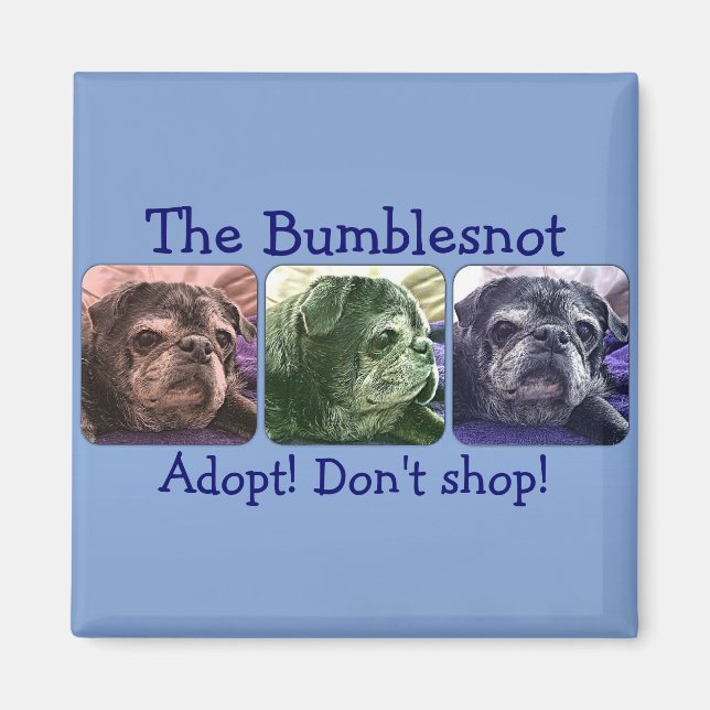 Imã Íman de Bumblesno: Colorido Me (Frente)