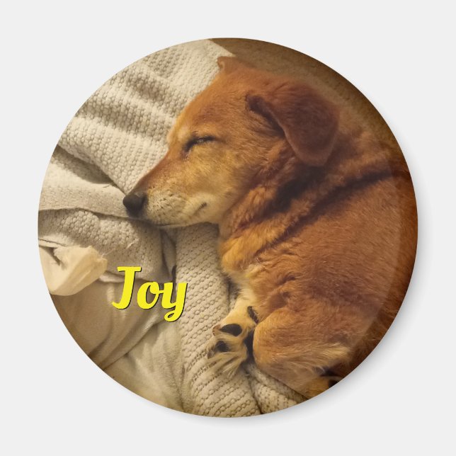 Imã Íman de cachorro sorridente (Frente)