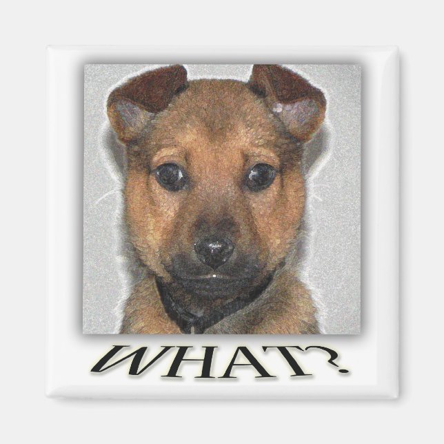 Imã Íman de cachorro super fofo (Frente)