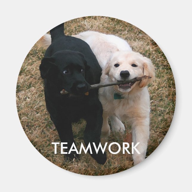 Imã Íman de cachorros pretos e brancos (Frente)