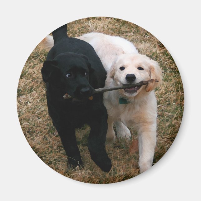 Imã Íman de cachorros pretos e brancos (Frente)
