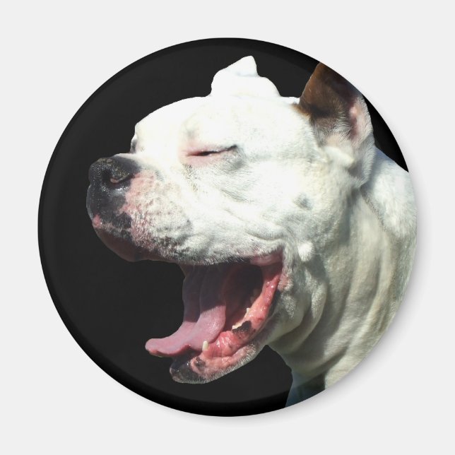 Imã Íman de cão Boxer Branco sorridente (Frente)