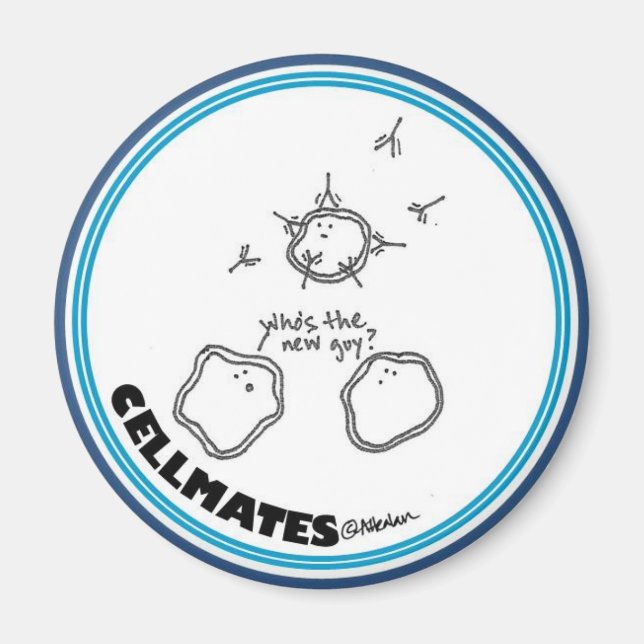 Imã Íman de cara (Frente)