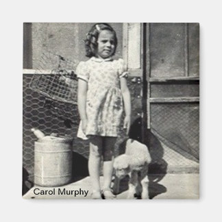 Imã Íman de carol e borrego