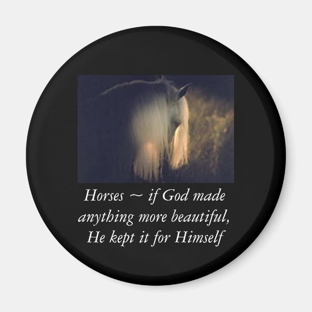 Imã Íman de cavalo (Frente)