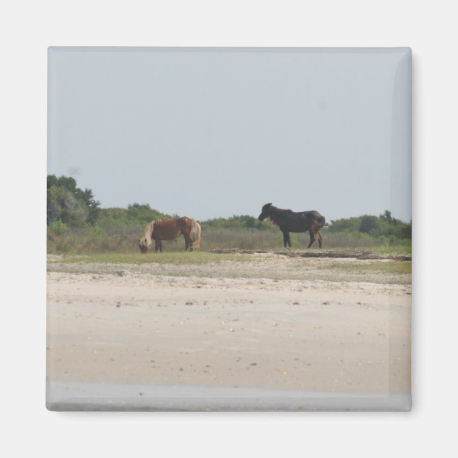 Imã Íman de Cavalo Selvagem (Frente)