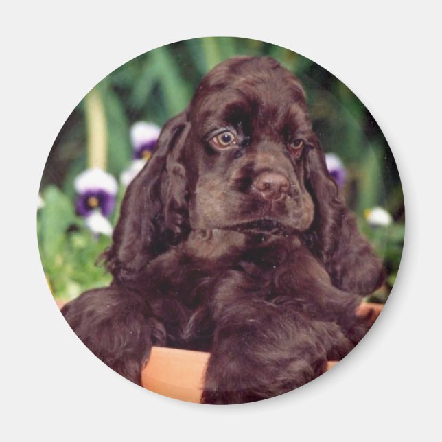 Imã Íman de chocolate (Frente)